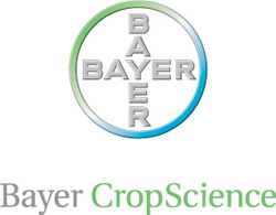 logo_02